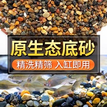 Ϫʯ~ͥԺɳ쾰ˮb䁵ʯ^BֱN羳