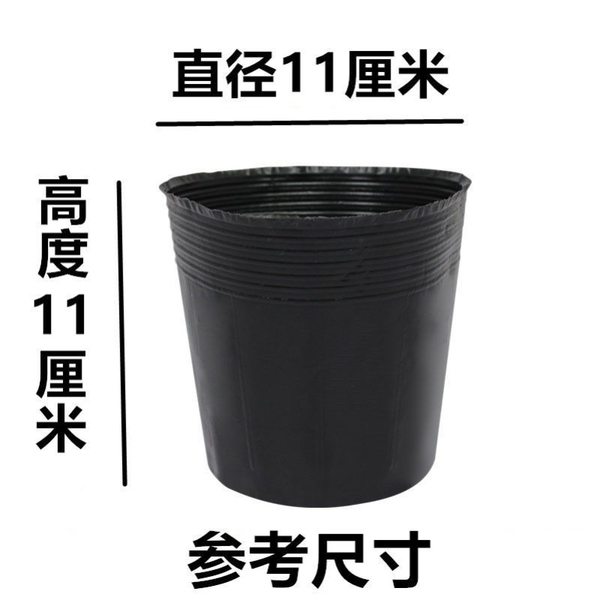 Nutrition Cup Nursery Cup Disposable Black Nutrition Cultivation Bag…