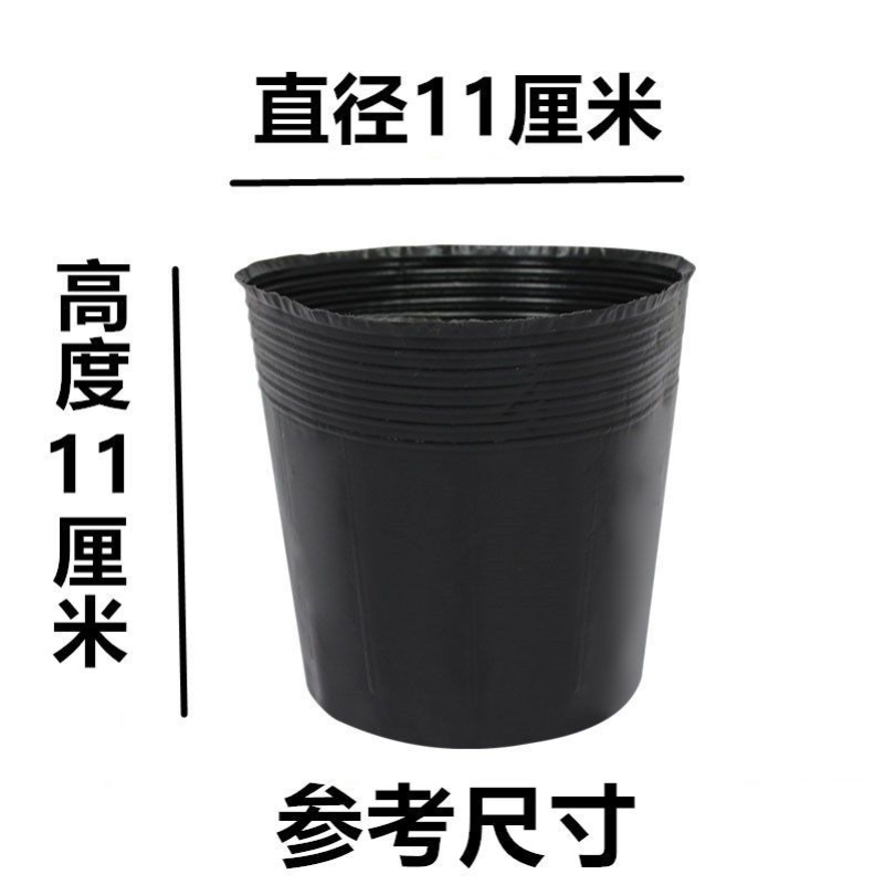 15*15 (diameter 11 and height 11) 100 pieces