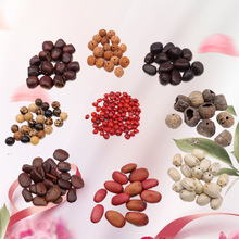 果壳风铃印尼黑果diy 配件水铃桐满愿种子材料包果壳手工音束挂饰