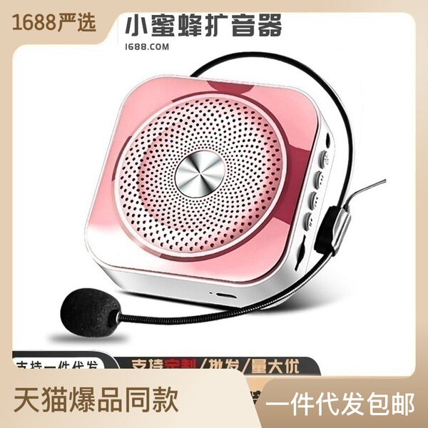 The new loudspeaker portable teacher lecture protective voices