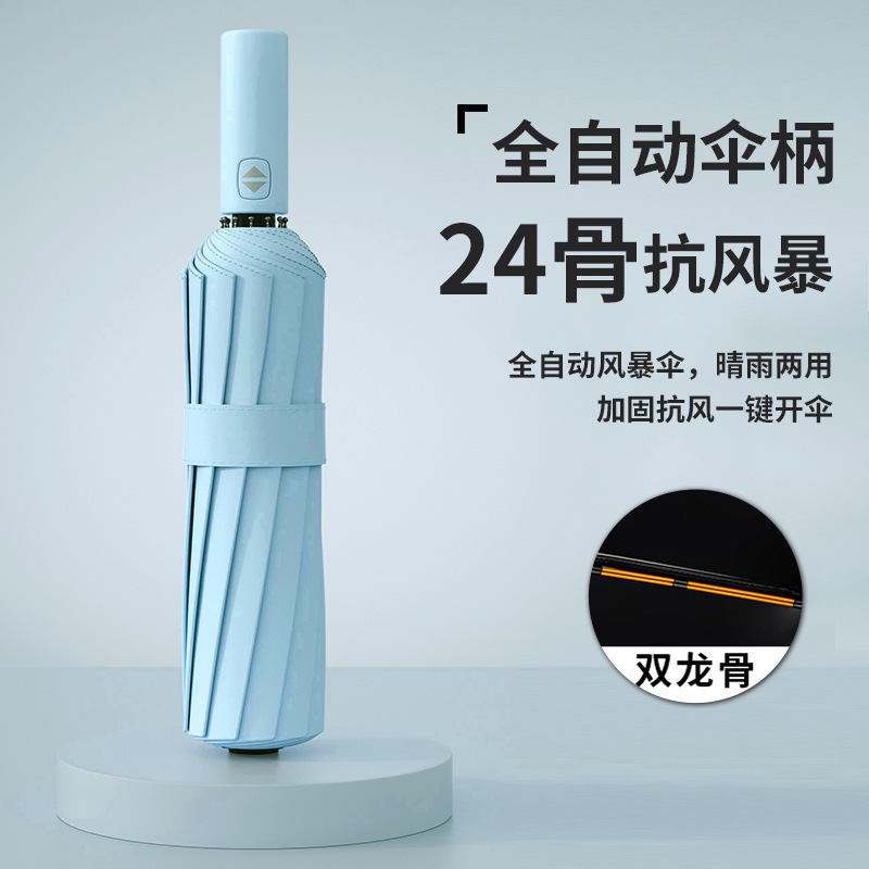 12본 자동 이중 용골 비가 오나 눈이 오나 [하늘색]