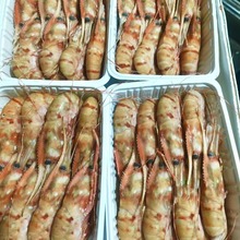 俄罗斯白牡丹虾 16-18只/KG 2KG装 日料食材 量大价优 刺身牡丹虾