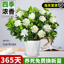 �d�ӻ����Դ�����㎧��������ֲ���k���҃��̨�����ļ��_���Gֲ