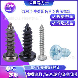 定做十字槽平头圆头自攻螺丝不锈钢镀锌定制厂螺丝钉热镀锌黑色