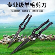 ����ë�ļ��� ������քӽg�d��ë���Ï����ù�ë��̖������ë��