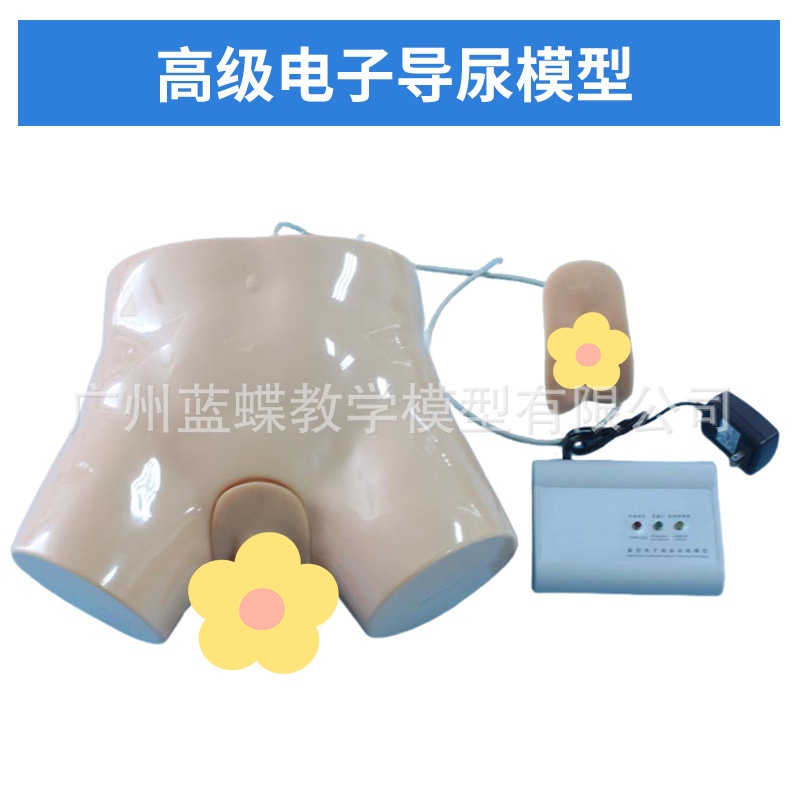 ��Ů��������ֳ�����ʵ���ֱ����ϰģ�ͽ�ѧ��������������ֳϵͳ