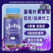 蓝莓叶黄素酯软糖批发散装网红糖果青少年儿童小熊水果软糖现货是