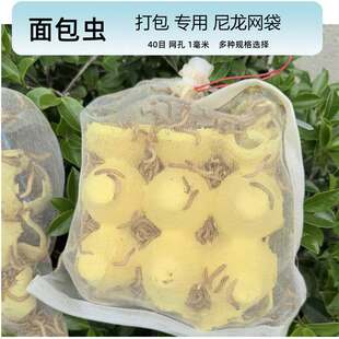�������x�W�������x����x�Bֳ�����û��w���͸����Ӵ������K