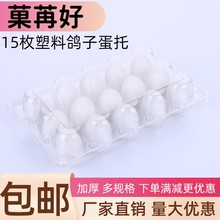10枚15枚鸽子蛋托一次性透明塑料鸽子蛋托 包装盒厂家