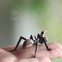 ���QС�[������΁ţ������t��1�Ͻ�С��݋������Λρ������