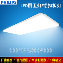 �w����LED�N�l��RC058�X�۰弯�ɵ�픟�300*600ƽ���N���l���g