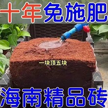 9���KҬ�u�I�B���B����Ҭ�Ӛ�����Ү�u�N������Ó�}Ҭ���uֲ��