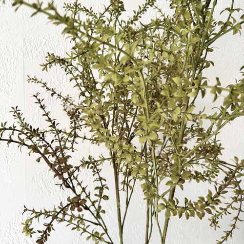 Green Artificial Plant Sedum Wedding Decor Green Plant Living Room Dining Table Flower Arrangement Ornament Willow Branch Fake Grass Branch