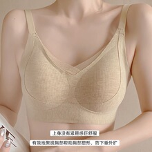 ����Ůĥëů�o�Ȧ����Ĩ�ؾ۔n�o���\�����ַ��´����؉|����