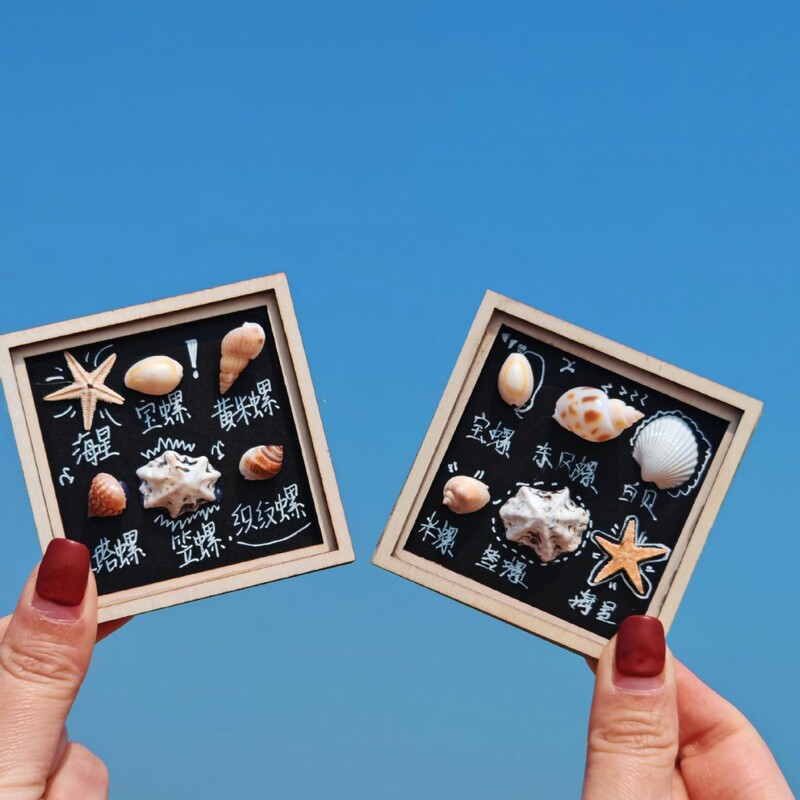 Qingdao Cultural and Creative Shell Refrigerator Magnets Seaside Souvenirs Manufacturer Wholesale Conch Shell Creative Gifts Qingdao Cultural and Creative Shell Refrigerator Magnets Seaside Souvenirs Manufacturer Wholesale Conch Shell Creative Gifts