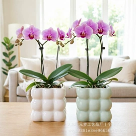 花盆容器;花盆装饰;陶瓷工艺品