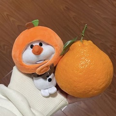 10cm果物シリーズ「みかんちゃん」の頭カバーに可愛いぬいぐるみのぬいぐるみと綿人形の着せ替えがあります。