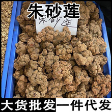 Ѫ���� ��ɰɏ ��ɏ ������ ��ɰ�B ţѪ�B ������؛���l���l
