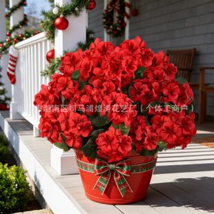 �羳���R�dTemu������N�L���溣�Ļ��ٻ���c�Ҿӿ͏d���ÿ��z��