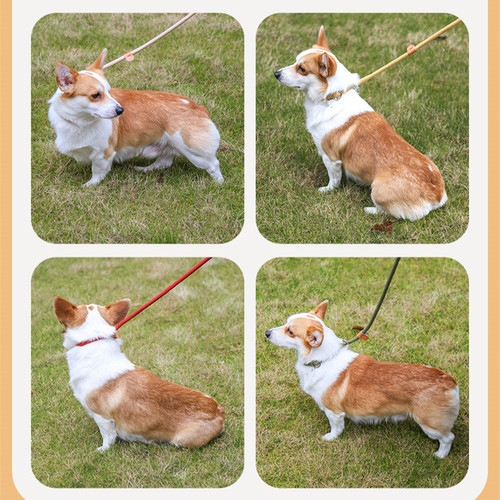 Dog leash P rope small and medium-sized dogs explosion-proof dog walking chain lengthened thick leash P chain hot sale