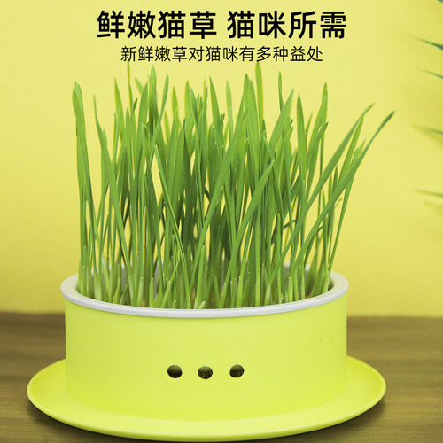 New Cat Grass Pot Soilless Hydroponic Cat Grass Seed Box Set for Hairball Control and Digestion Aid, Cat Snack Wheat Seeds