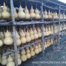 ♔批发大小葫芦挂件摆件 文玩手捻把玩小葫芦 挂件摆件饰品家居摆