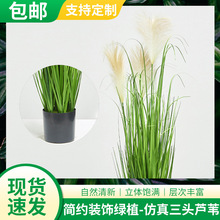 包邮三头仿真芦苇假蒲苇 仿真花洋葱草叶仿生绿植植物花卉盆栽