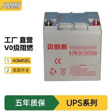 DJW12-30电子秤蓄电池12V30Ah计算机备用铅酸电池贝朗斯厂家