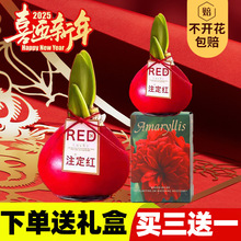 �M����피t�N���ذ�Ϟ��o�������Ϟ����ֲ������Y��������
