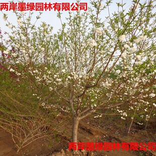 ���� ���~�׻�����5�������� �ڷ��� ���̓��� ����ֱ��