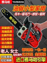 ���R�������С�ͼ��Æ��ֳ��p���M�ڷ�ľ�12�翳��C�ë��䏓�