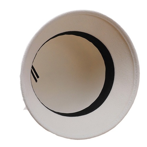 Winter woolen hat for women, autumn and winter French style felt hat, elegant lady hat, Hepburn style fisherman hat