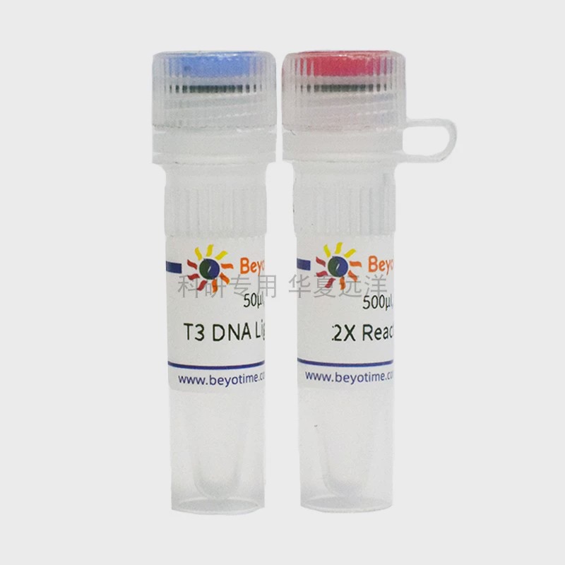 D7019S T3 DNA Ligase 150KU