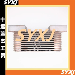 适用于康明斯NT855发动机配件管式机油冷却器芯 3021581 208149