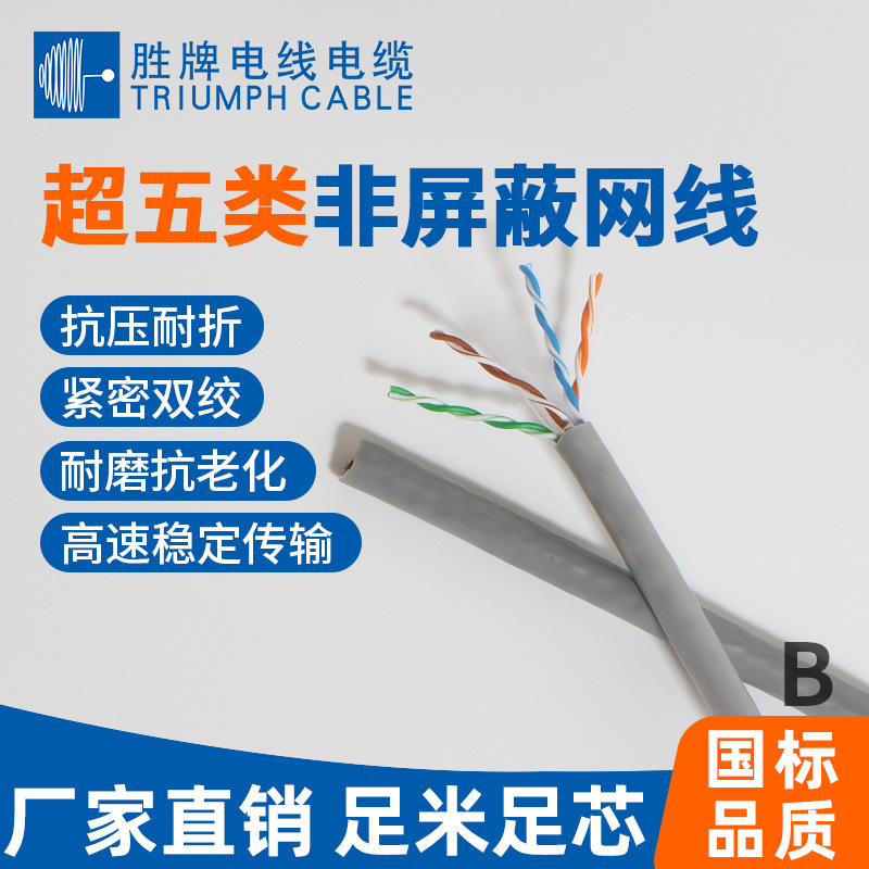 Factory Direct Supply Sheng Brand Category 5E Network Cable Computer Network Cable 300m Engineering Network Wiring
