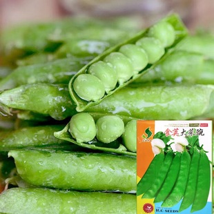 ���㶹�N�ӟo���ļ��������׽Ǻ��m���＾�r����@�߲��ѿ�ʳ�v��