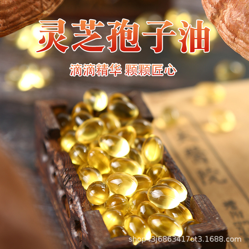 灵芝孢子油孢子粉萃取高三萜含量软胶囊源头药材厂家