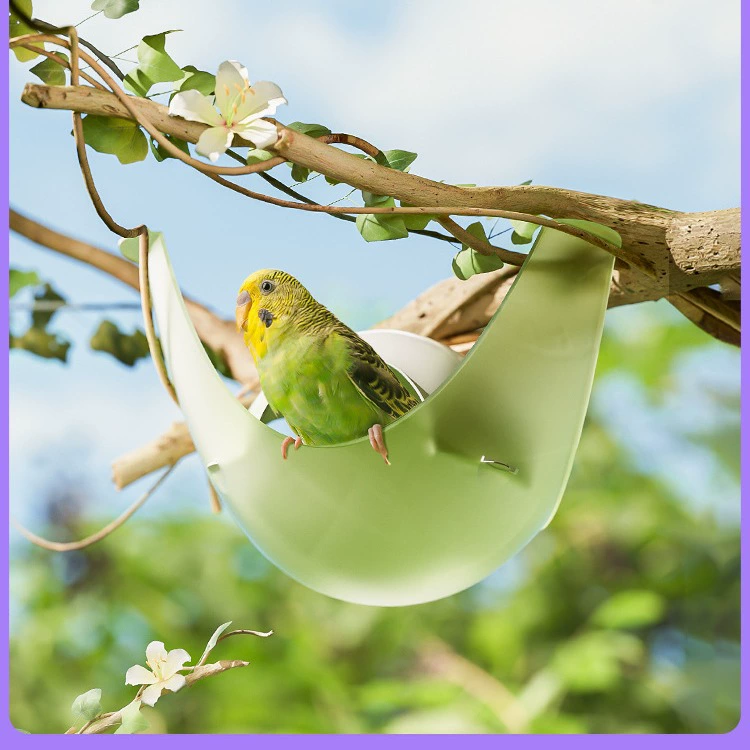 Космическая капсула Кано Птичье гнездо попугай черный феникс