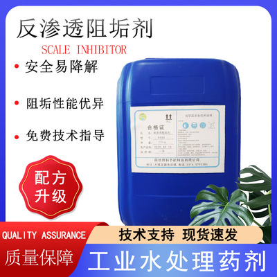 食品级反渗透阻垢剂，RO膜系统专用工业除垢分散剂水溶性管道