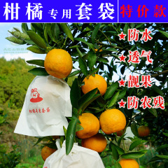 柑橘套袋橙子丑橘耙耙柑春见爱媛纸袋防病水虫24新款款式批发