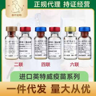 Ӣ������������m�M����Ȯ��������Ȯ���猙�ﹷ���A���