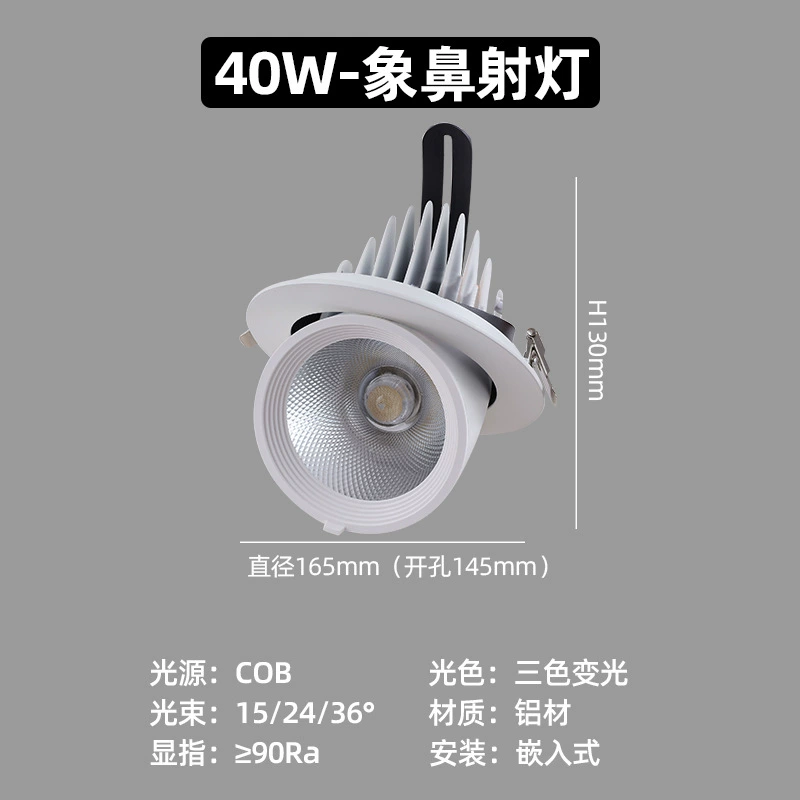 Telescopic LED lights, ceiling light, spot lighting, lamp for hotel