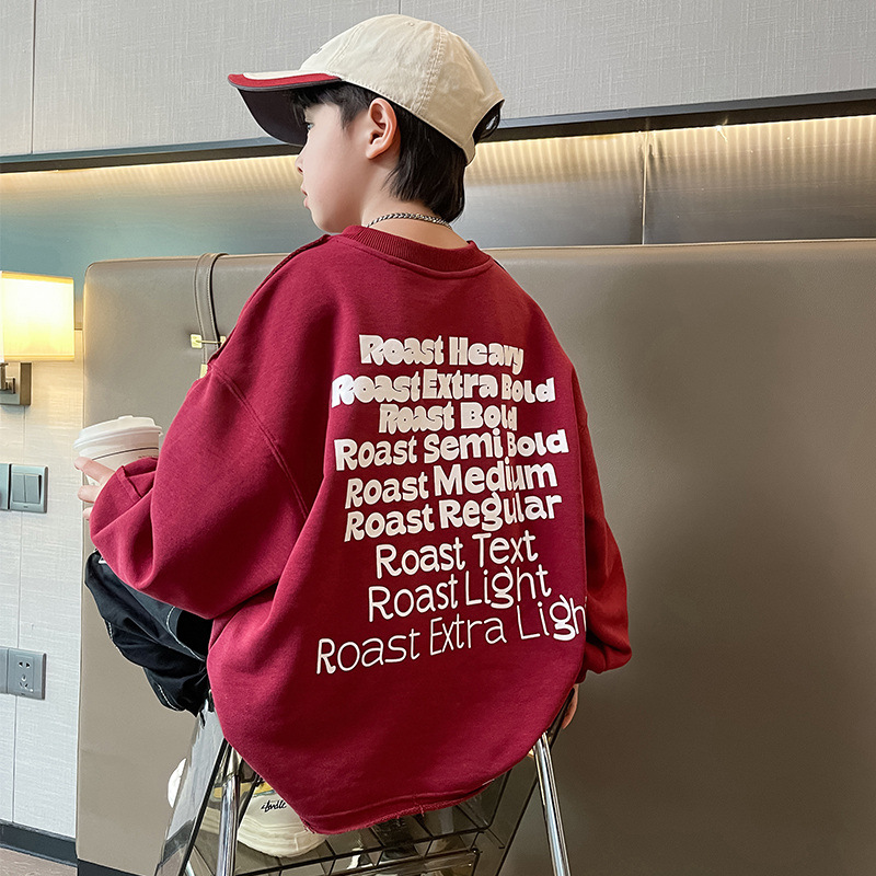 Children's Spring and Autumn Style Hooded Sweatshirt 2024 New Arrival for Middle Kids Boys Spring Top Clothing Kids Fashion Dragon Year Base Shirt