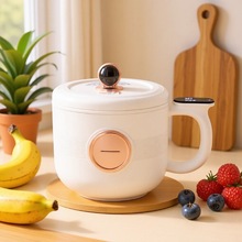 110V������������С�����ܶ๦�ܼ�������늟���������