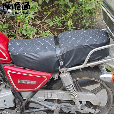 Hj125 Haojue Suzuki Prince Seat Cushion Cover Gn125 Men's Motorcycle Thickened Leather Embroidered Sponge Seat Cushion Cover (Motorcycle cushion) - prince-car-gn125-black-rice-air-cushion