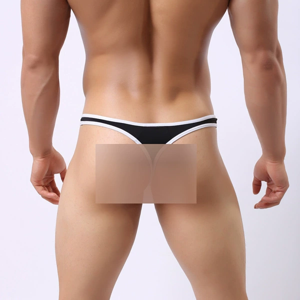 Haoleis Silk Underwear, breathable silky briefs in White or Black, sizes M/L/XL