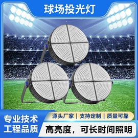 草坪灯;其他室外照明;道路照明灯