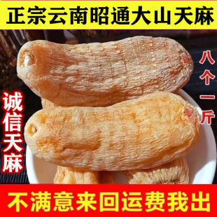 ��/�x�����顿�����ͨ���������؛��؛���������ͨ����