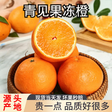 �������r�Ĵ���Ҋ�����Ȯ���ˮ�����Ӹ����۽���9��������°��]